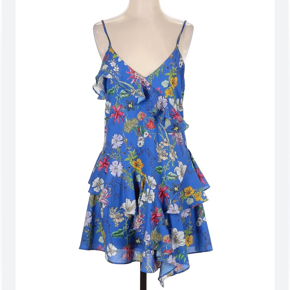 Parker Floral Print "Holly" Dress with Ruffles